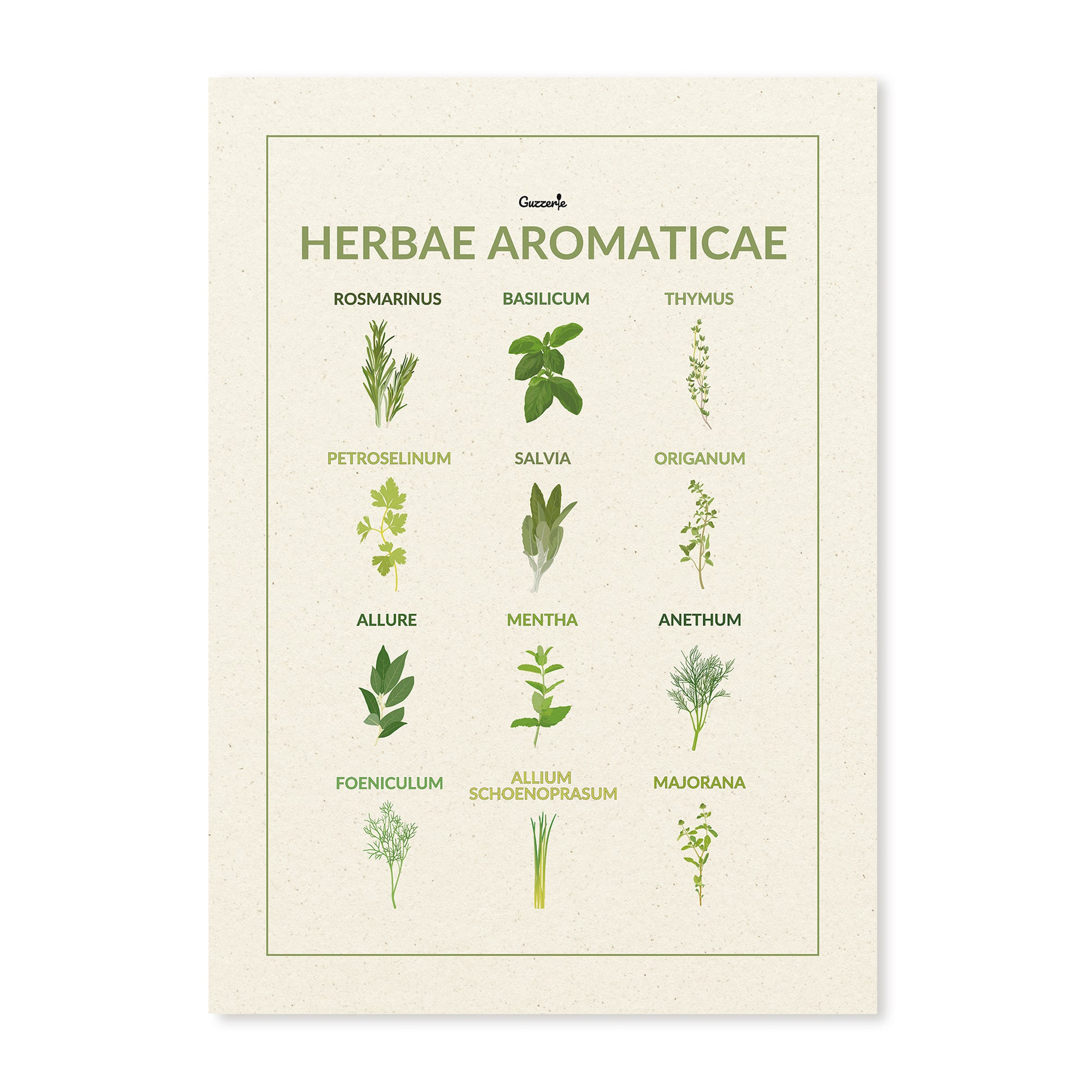 Iconic Poster of Aromatic Herbs | Guzzerie
